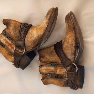 Free Bird by Steven Boots